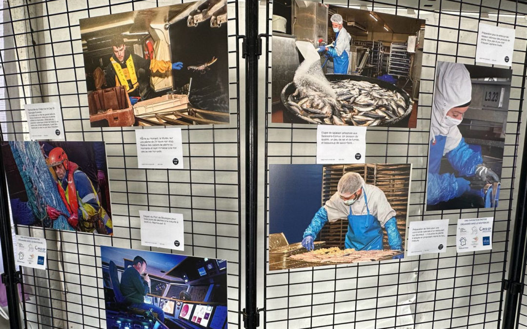 Exposition du Studio Mir au Campus des Métiers et des Qualifications AVCPA