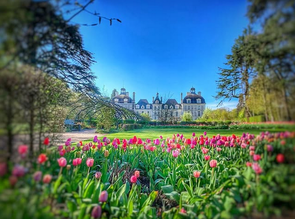 Cheverny